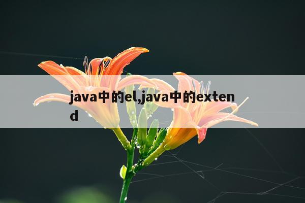 java中的el,java中的extend