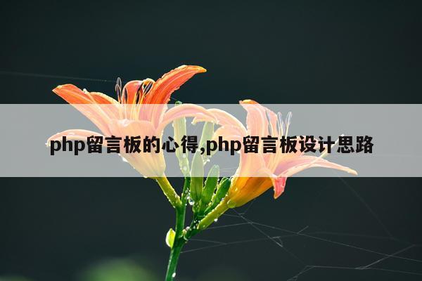 php留言板的心得,php留言板设计思路