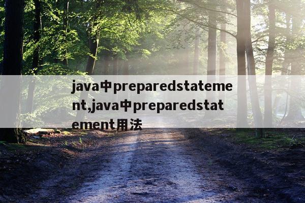 java中preparedstatement,java中preparedstatement用法
