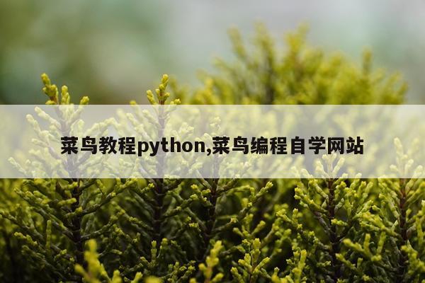 菜鸟教程python,菜鸟编程自学网站