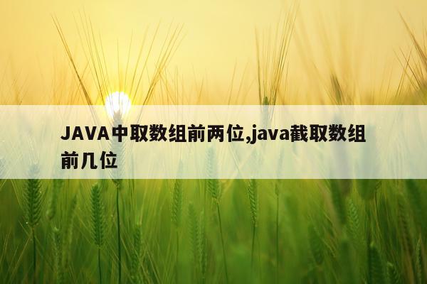 JAVA中取数组前两位,java截取数组前几位
