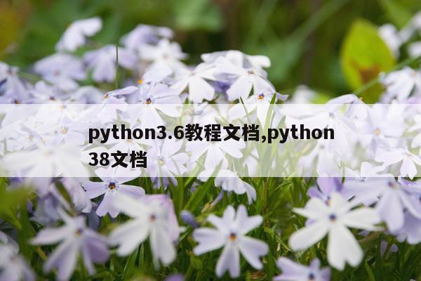 python3.6教程文档,python38文档