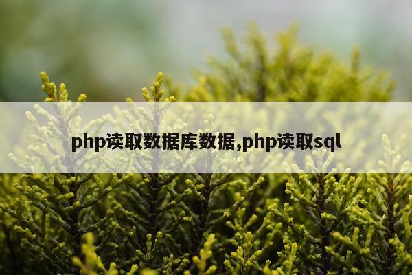 php读取数据库数据,php读取sql