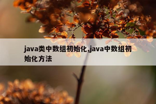 java类中数组初始化,java中数组初始化方法