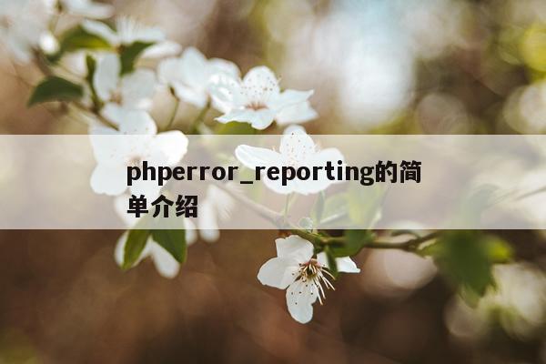 phperror_reporting的简单介绍