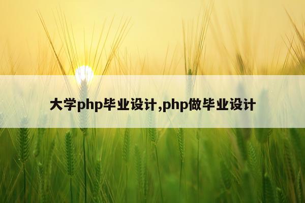 大学php毕业设计,php做毕业设计