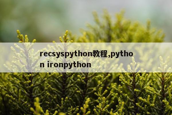 recsyspython教程,python ironpython