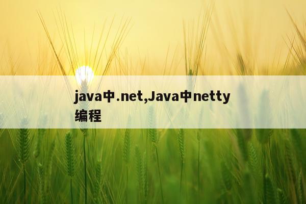 java中.net,Java中netty编程