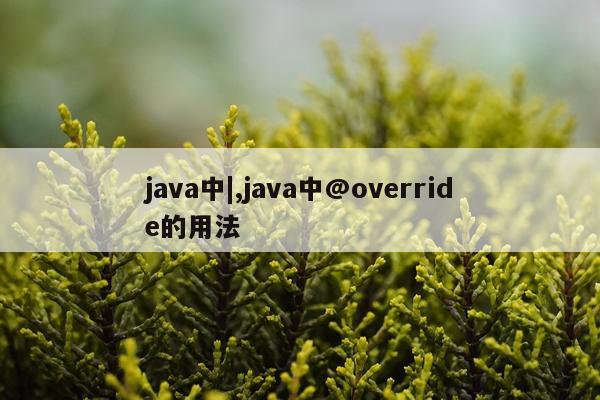 java中|,java中@override的用法