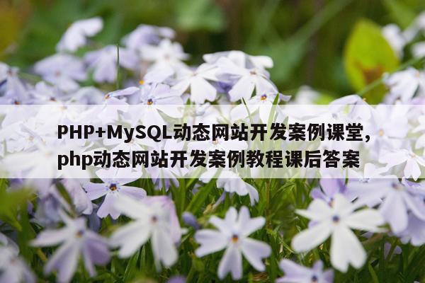 PHP+MySQL动态网站开发案例课堂,php动态网站开发案例教程课后答案