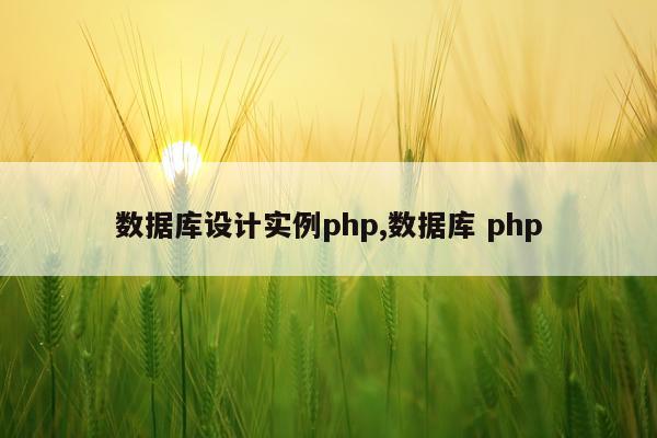 数据库设计实例php,数据库 php