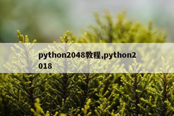 python2048教程,python2018