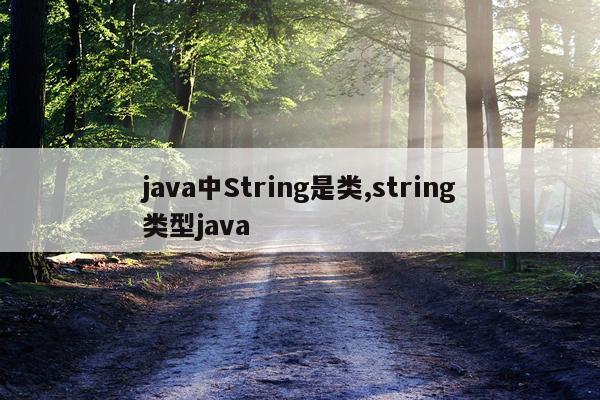 java中String是类,string类型java