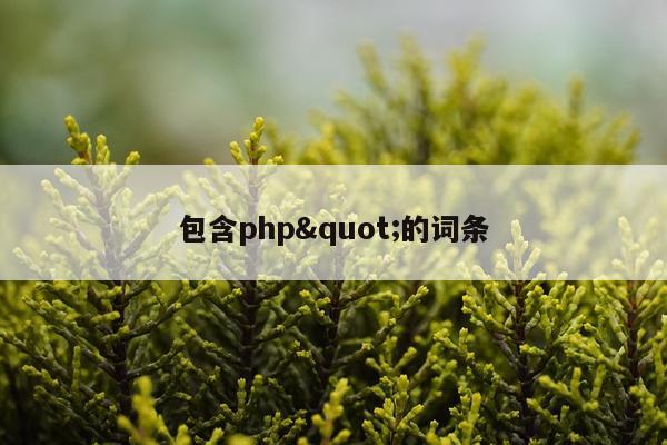 包含php"的词条
