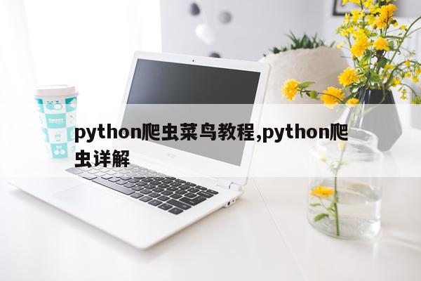 python爬虫菜鸟教程,python爬虫详解