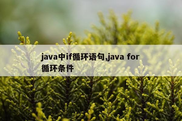 java中if循环语句,java for循环条件