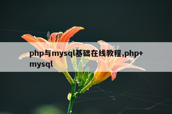 php与mysql基础在线教程,php+mysql