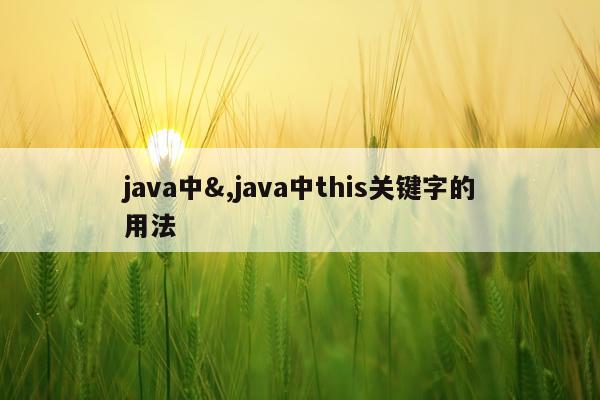 java中&,java中this关键字的用法