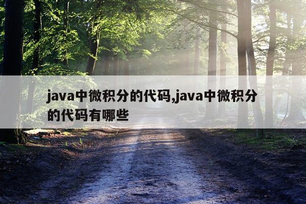 java中微积分的代码,java中微积分的代码有哪些