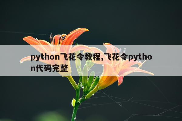 python飞花令教程,飞花令python代码完整