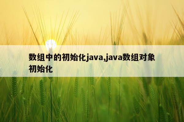 数组中的初始化java,java数组对象初始化
