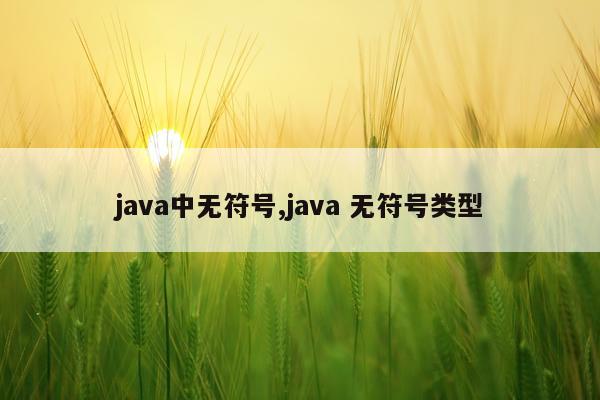 java中无符号,java 无符号类型