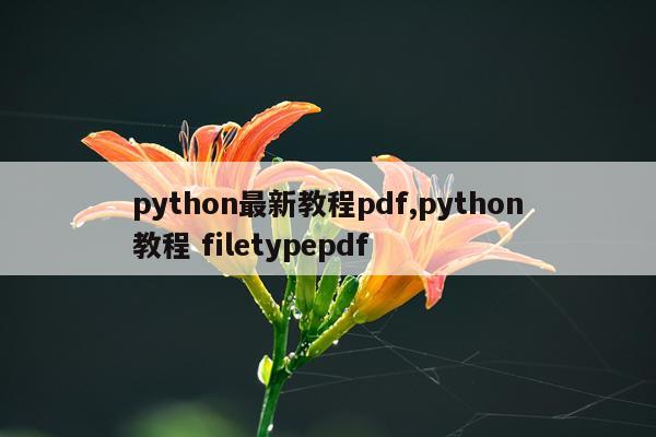 python最新教程pdf,python教程 filetypepdf