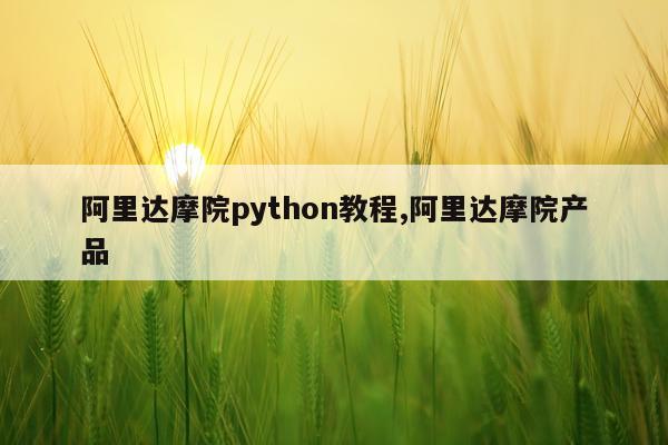 阿里达摩院python教程,阿里达摩院产品