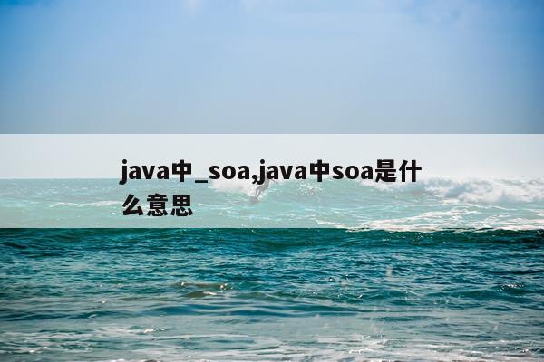 java中_soa,java中soa是什么意思