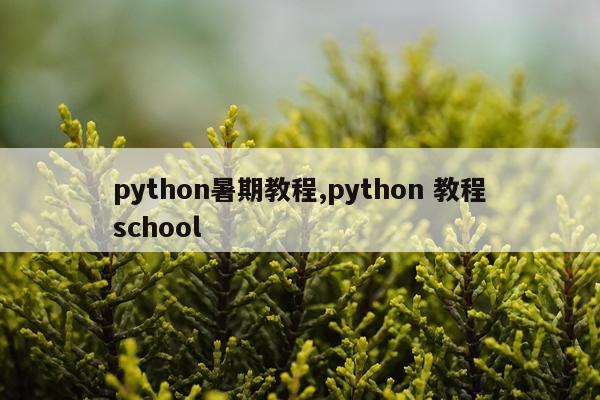 python暑期教程,python 教程school