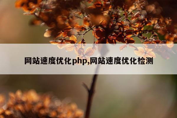 网站速度优化php,网站速度优化检测