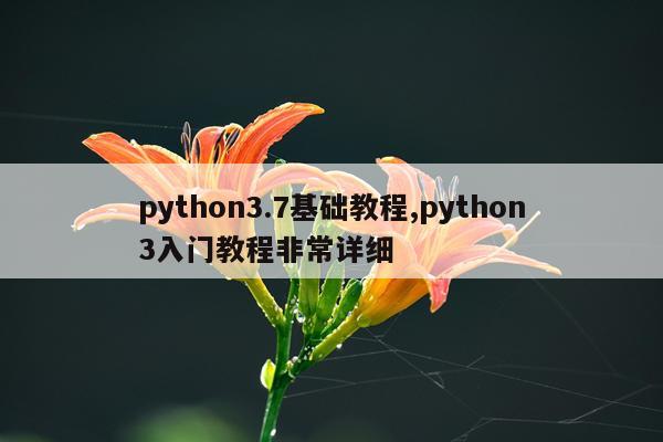 python3.7基础教程,python3入门教程非常详细
