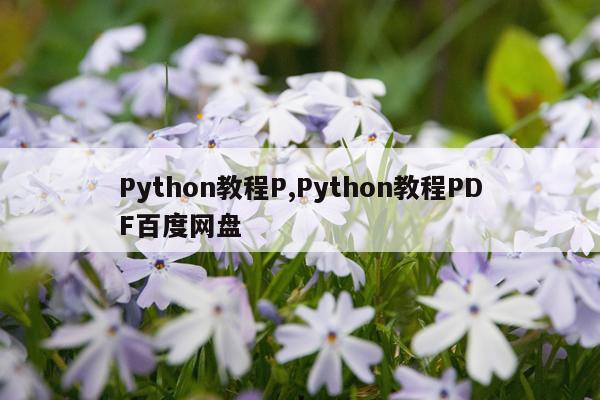 Python教程P,Python教程PDF百度网盘