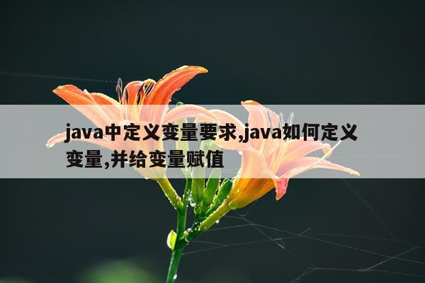 java中定义变量要求,java如何定义变量,并给变量赋值
