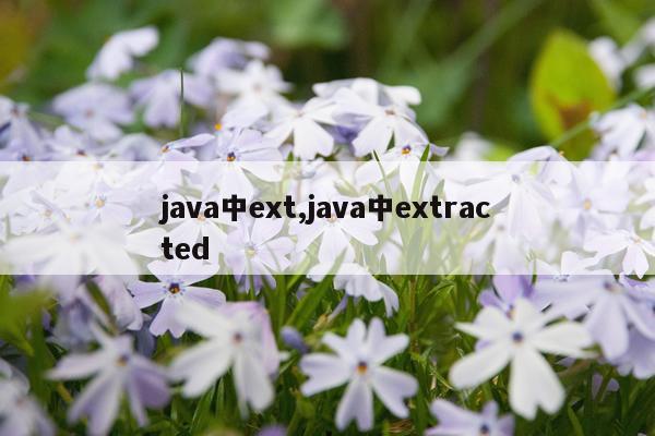 java中ext,java中extracted