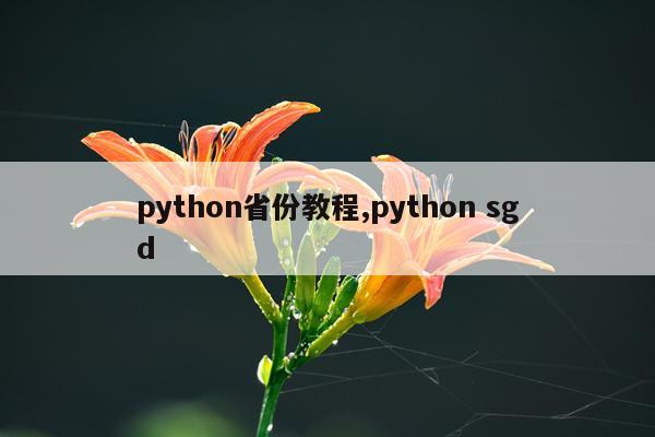 python省份教程,python sgd