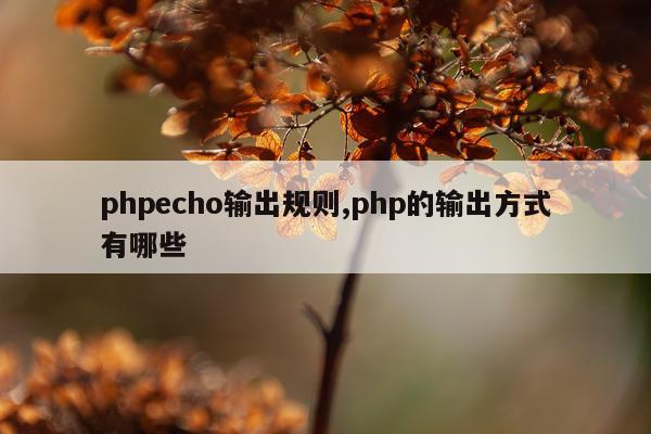 phpecho输出规则,php的输出方式有哪些
