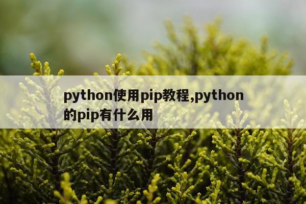 python使用pip教程,python的pip有什么用