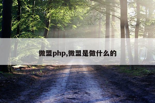 微盟php,微盟是做什么的