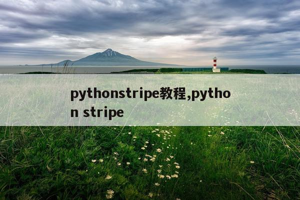 pythonstripe教程,python stripe