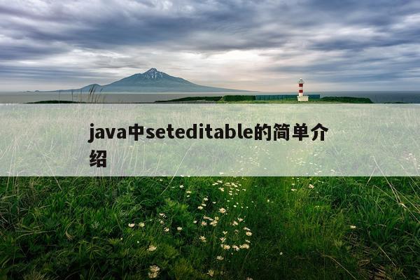 java中seteditable的简单介绍