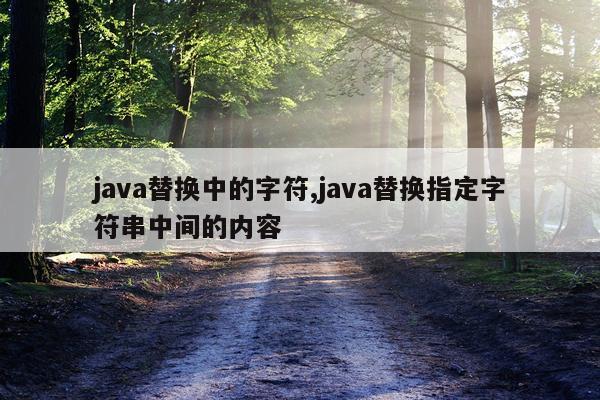 java替换中的字符,java替换指定字符串中间的内容