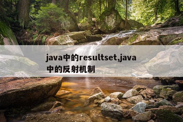 java中的resultset,java中的反射机制