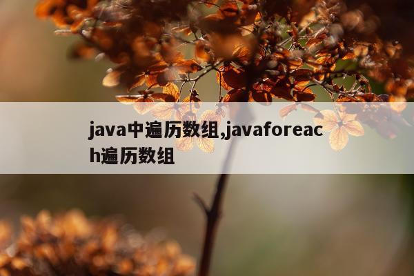 java中遍历数组,javaforeach遍历数组