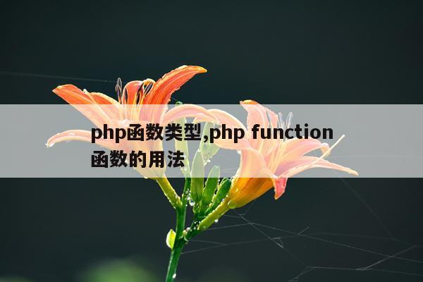 php函数类型,php function函数的用法