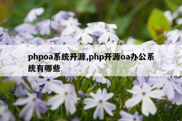 phpoa系统开源,php开源oa办公系统有哪些