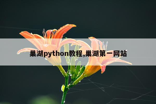 巢湖python教程,巢湖第一网站