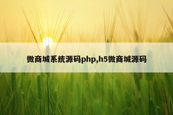微商城系统源码php,h5微商城源码