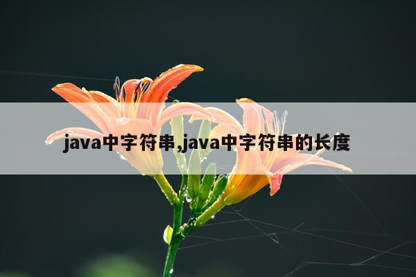 java中字符串,java中字符串的长度