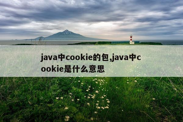 java中cookie的包,java中cookie是什么意思